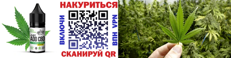 Canna-Cookies марихуана  Кедровый 