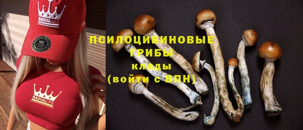 трава Нея